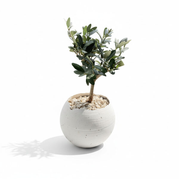 עציץ בטון EggLight Tree