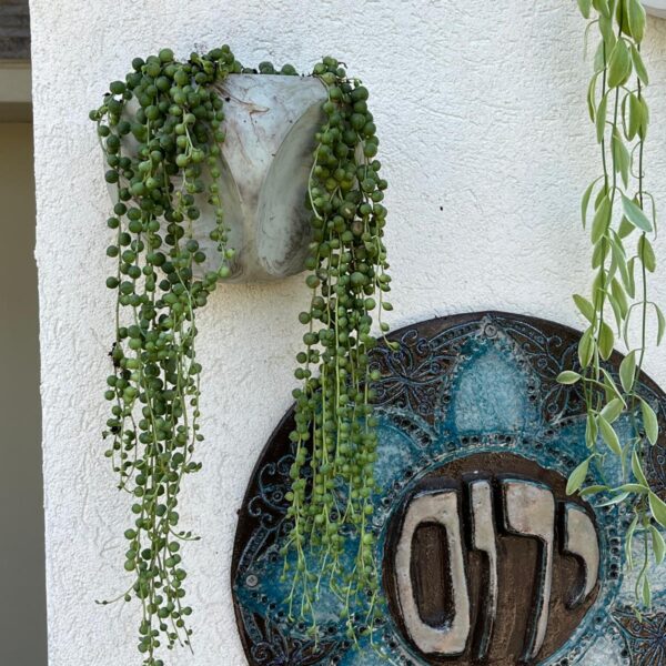 עציץ בטון STAR