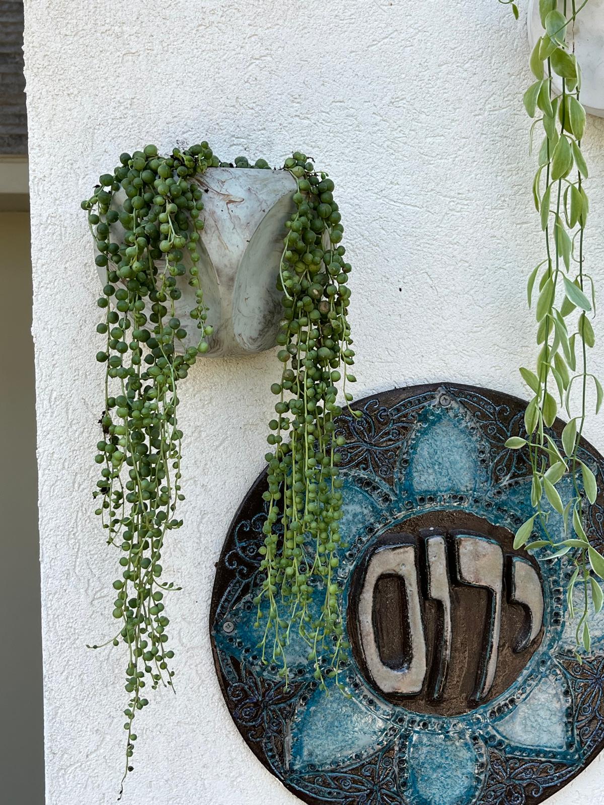 עציץ בטון STAR