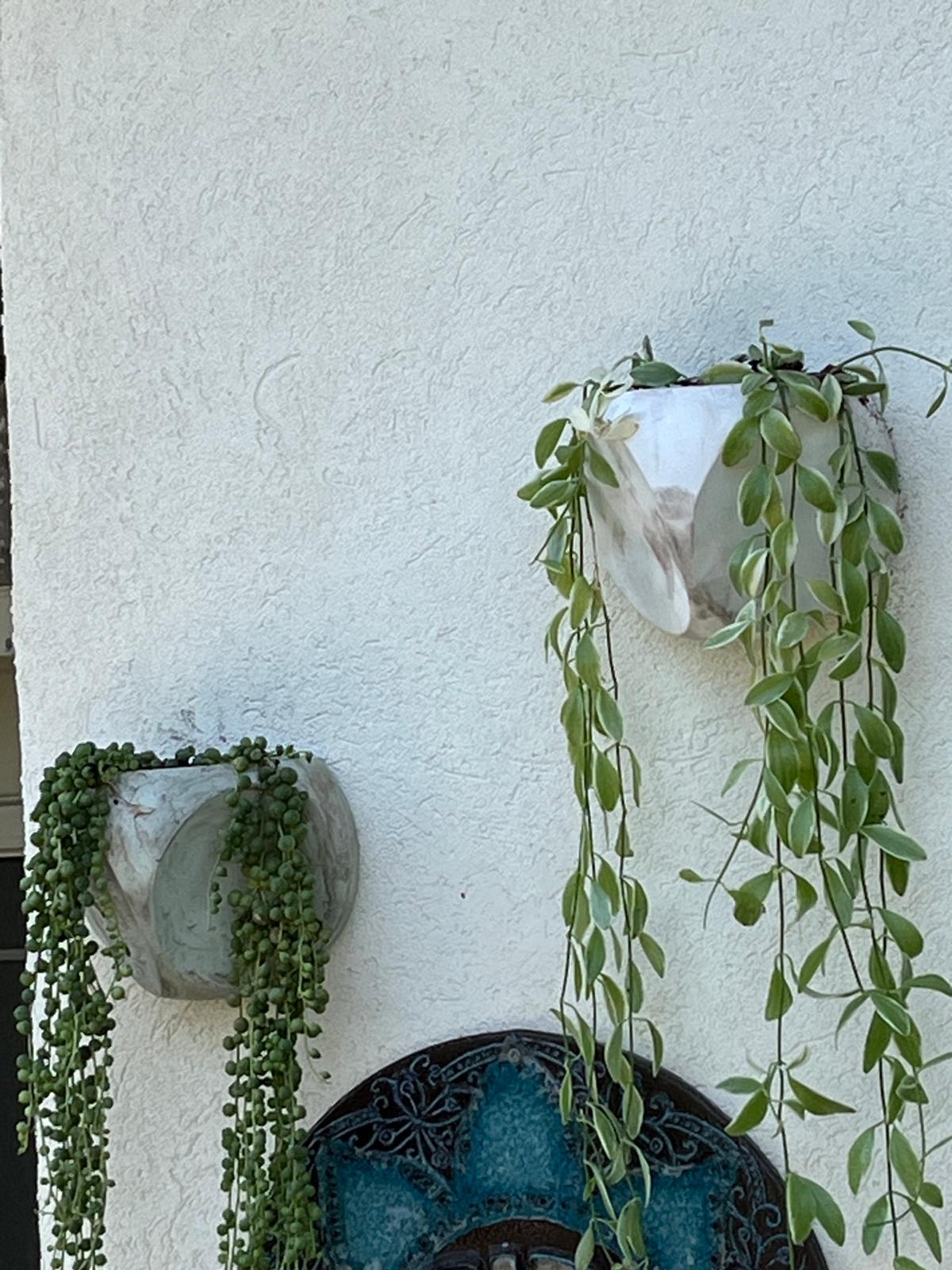 עציץ בטון STAR – תמונה 8