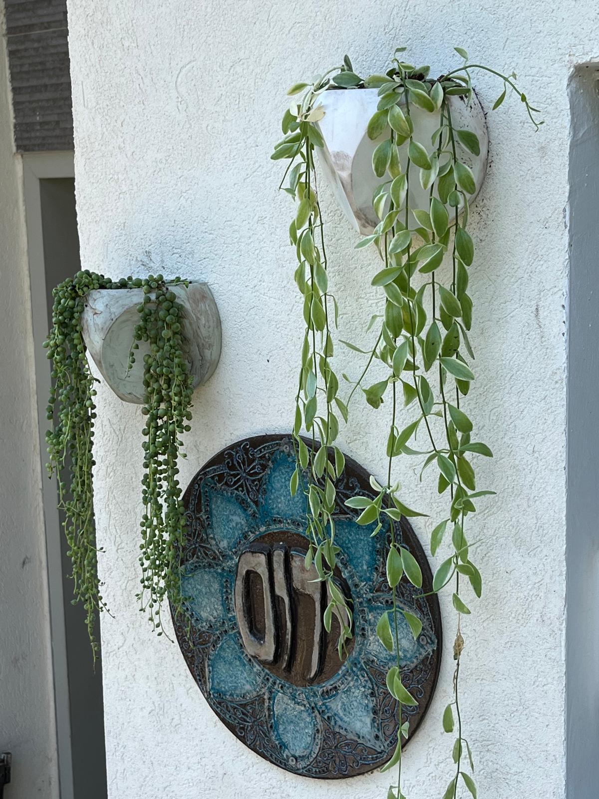 עציץ בטון STAR – תמונה 6