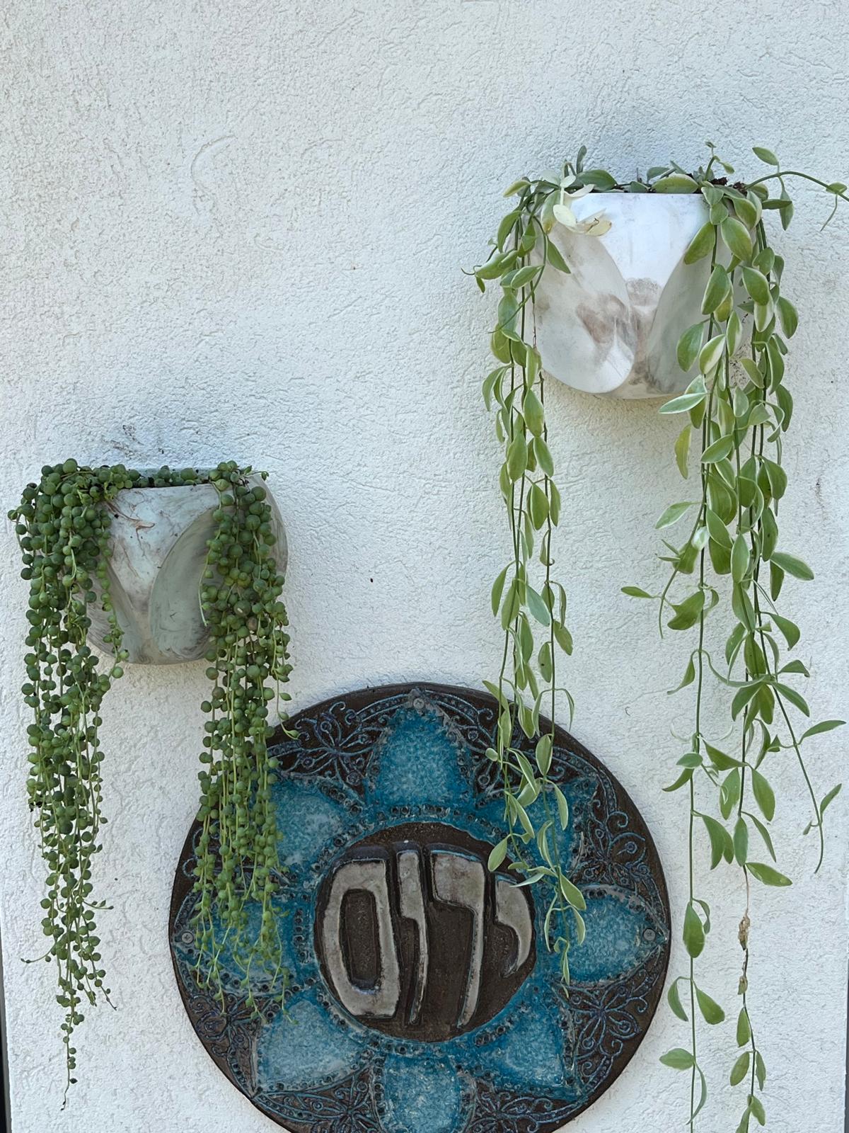 עציץ בטון STAR – תמונה 5